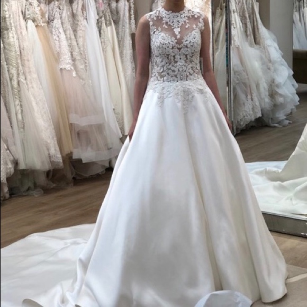 Pronovias Drusina Wedding Dress